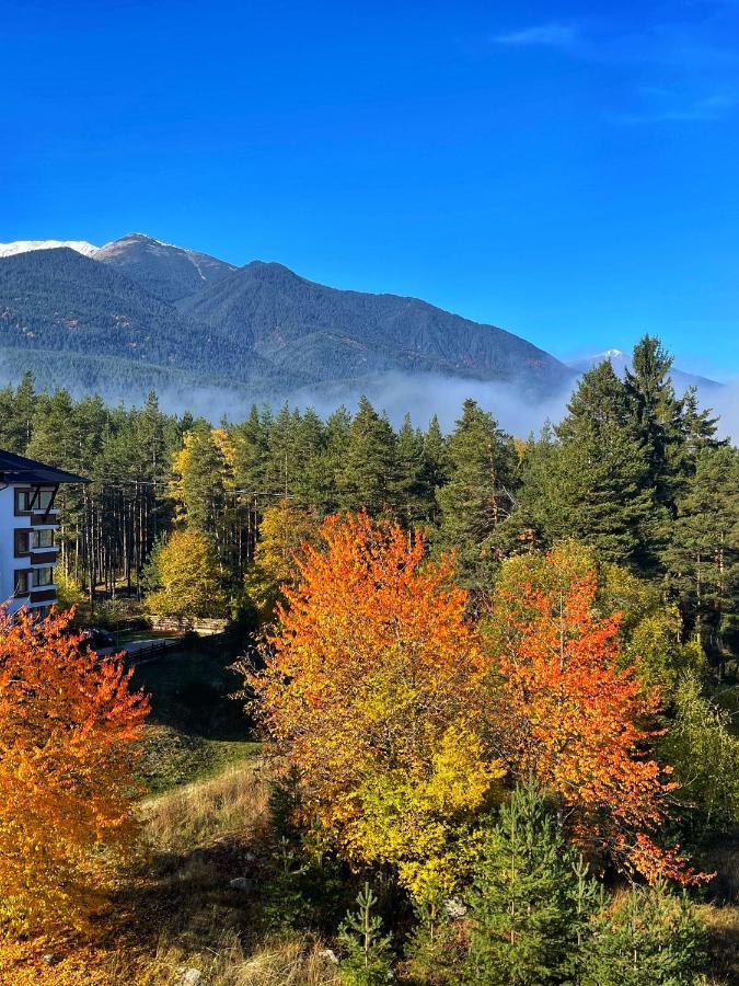 Park Hotel Panorama 班斯科 外观 照片