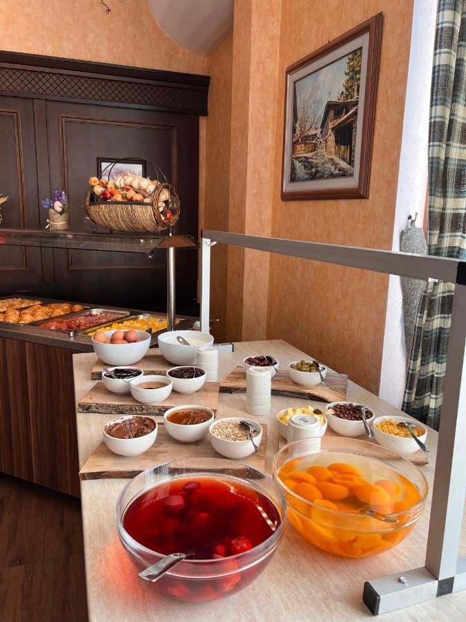 Park Hotel Panorama 班斯科 外观 照片