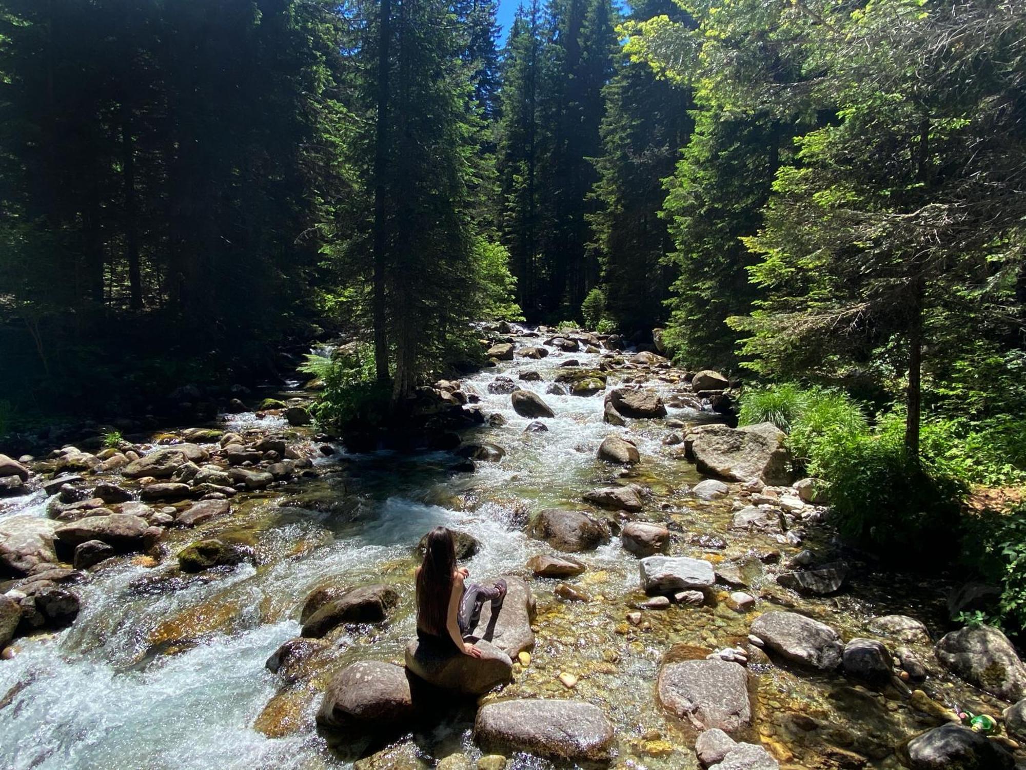 Park Hotel Panorama 班斯科 外观 照片